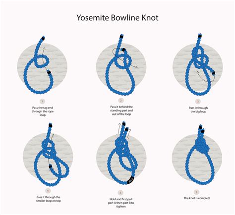 bowknot|animation for bowline knot.